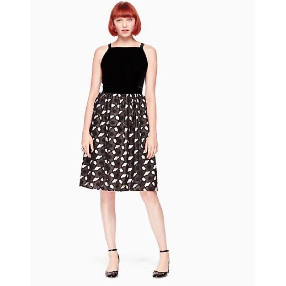 Kate Spade NWT Poppy Lace Cutwork Fit & Flare Velvet Sleeveless Dress, XS/00